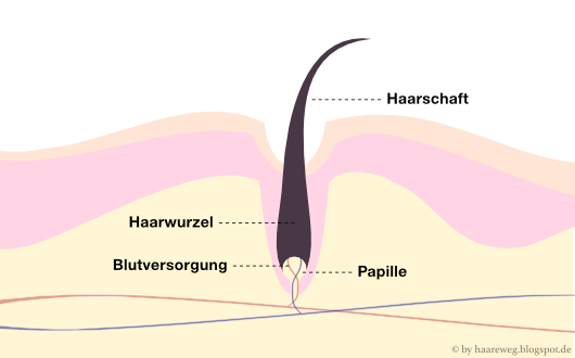 Die Maske für das Haar aus den Vitaminen in und die Aloe in den Ampullen